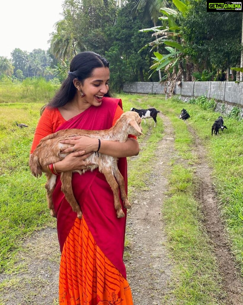 Malavika Krishnadas Instagram - Lucky enough be born in a countryside where lil blessings like these come along to lighten up your day. 🐐🦋🍃 . PC :@greeshma_rathish 🦋 . Goat : Chinnu 🐐
