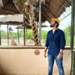 Malavika Krishnadas Instagram – 🦒🫶🏻
.
#safari #giraffelove #thailand