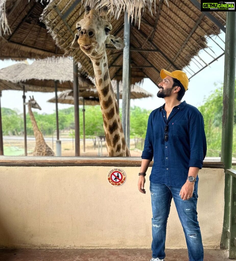 Malavika Krishnadas Instagram - 🦒🫶🏻 . #safari #giraffelove #thailand