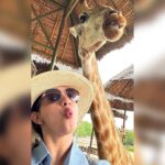 Malavika Krishnadas Instagram – 🦒🫶🏻
.
#safari #giraffelove #thailand