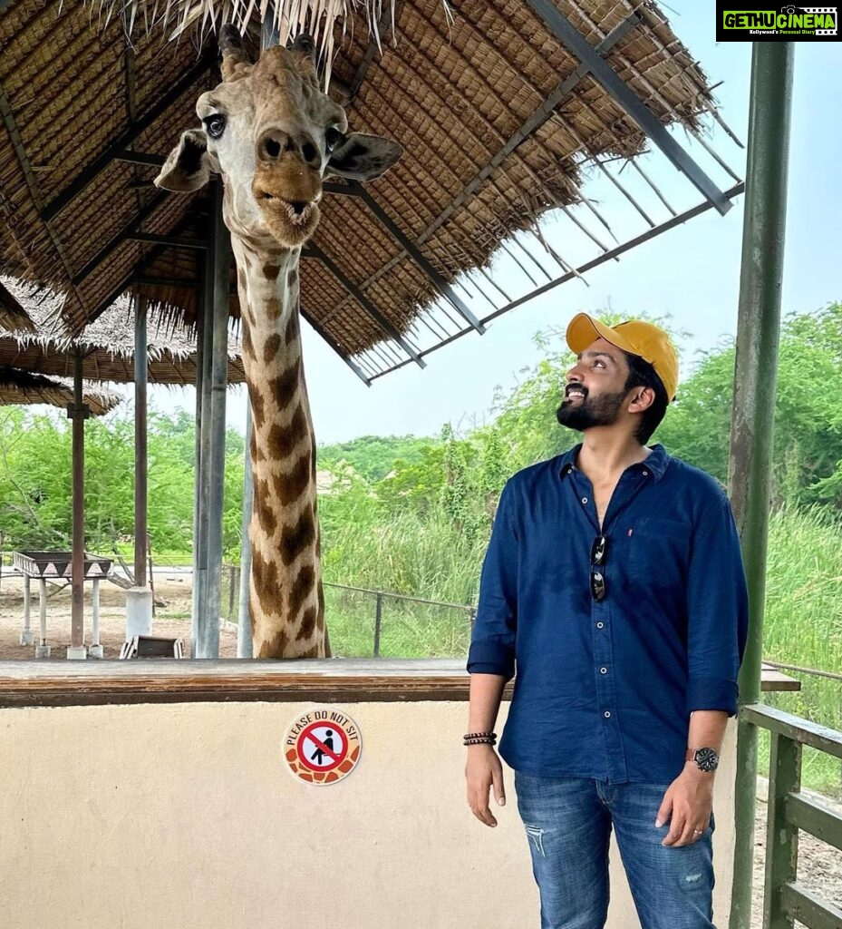 Malavika Krishnadas Instagram - 🦒🫶🏻 . #safari #giraffelove #thailand