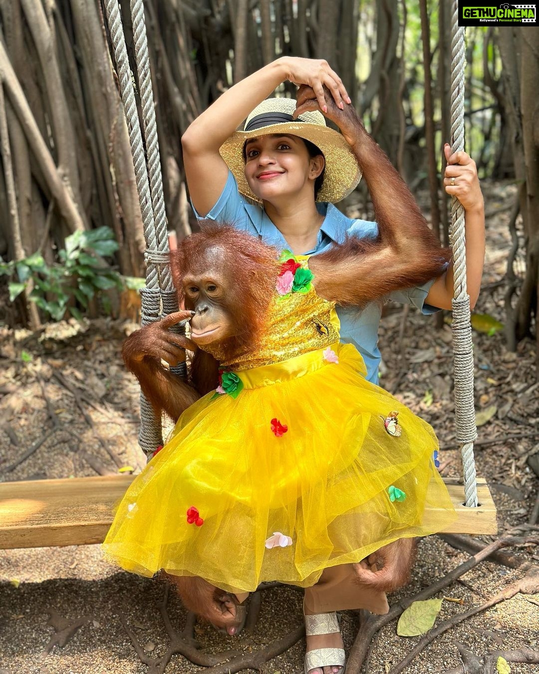 Malavika Krishnadas Instagram - Please Dont mind @thejusjyothi ‘s instagram post ka caption 🥲😏😵💫 Safari World