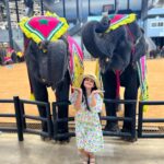 Malavika Krishnadas Instagram – Pattaya Spam ❤️🐘
.
#pattaya #nongnooch #sanctuaryoftruth #elephantshow #thailand #thaiculture