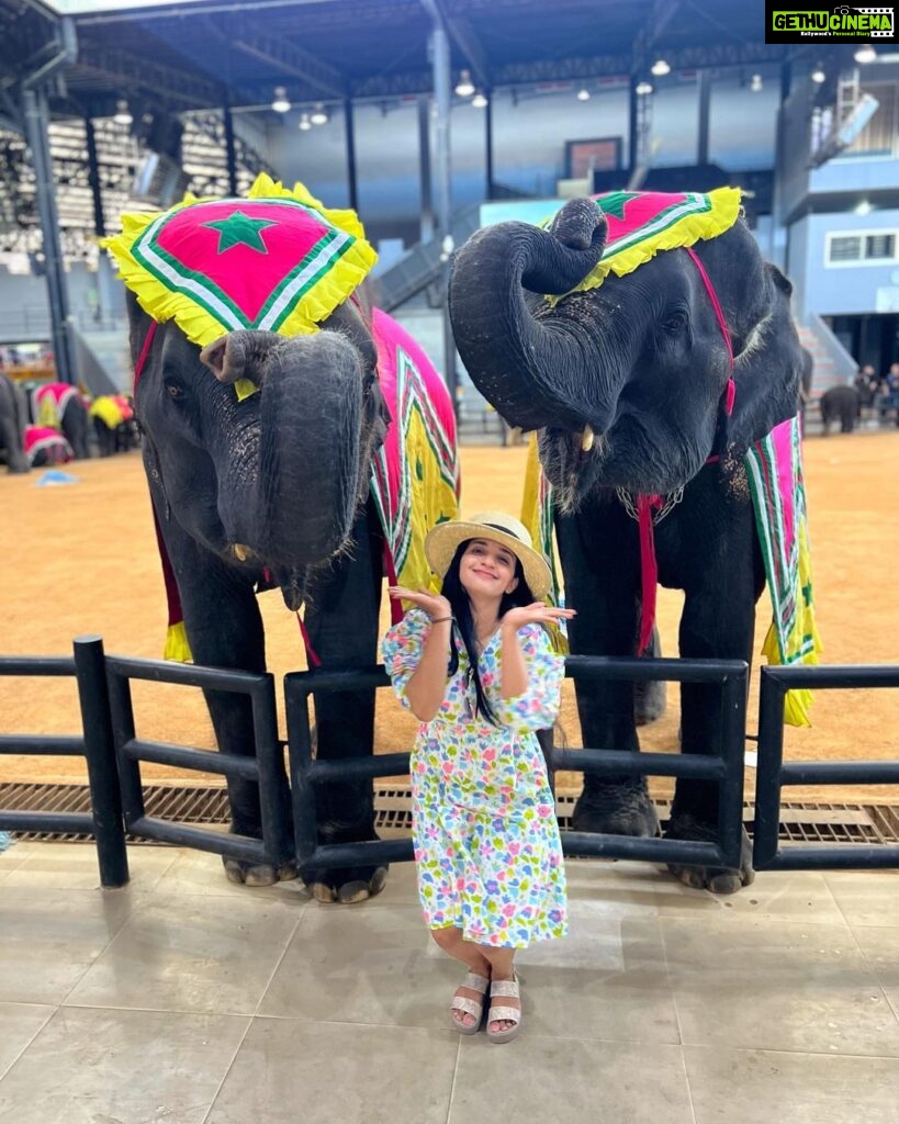 Malavika Krishnadas Instagram - Pattaya Spam ❤🐘 . #pattaya #nongnooch #sanctuaryoftruth #elephantshow #thailand #thaiculture