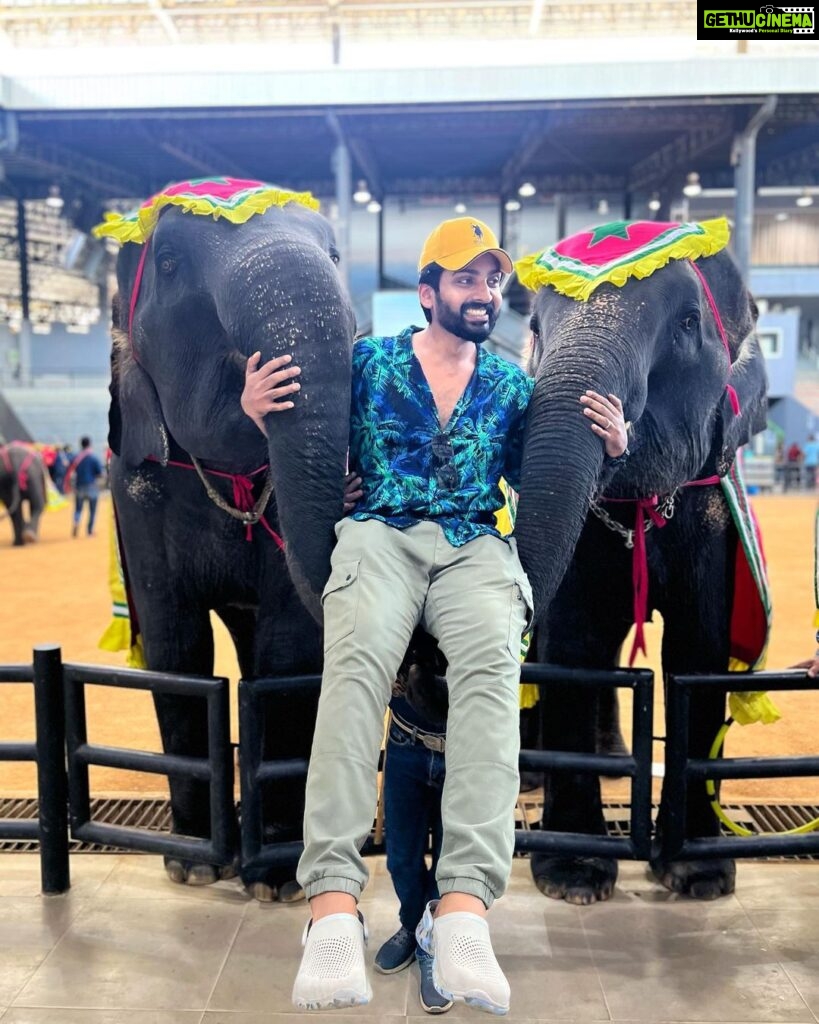 Malavika Krishnadas Instagram - Pattaya Spam ❤🐘 . #pattaya #nongnooch #sanctuaryoftruth #elephantshow #thailand #thaiculture