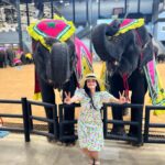 Malavika Krishnadas Instagram – Pattaya Spam ❤️🐘
.
#pattaya #nongnooch #sanctuaryoftruth #elephantshow #thailand #thaiculture