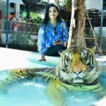 Malavika Krishnadas Instagram - 🐯💗 Tiger PARK Pattaya