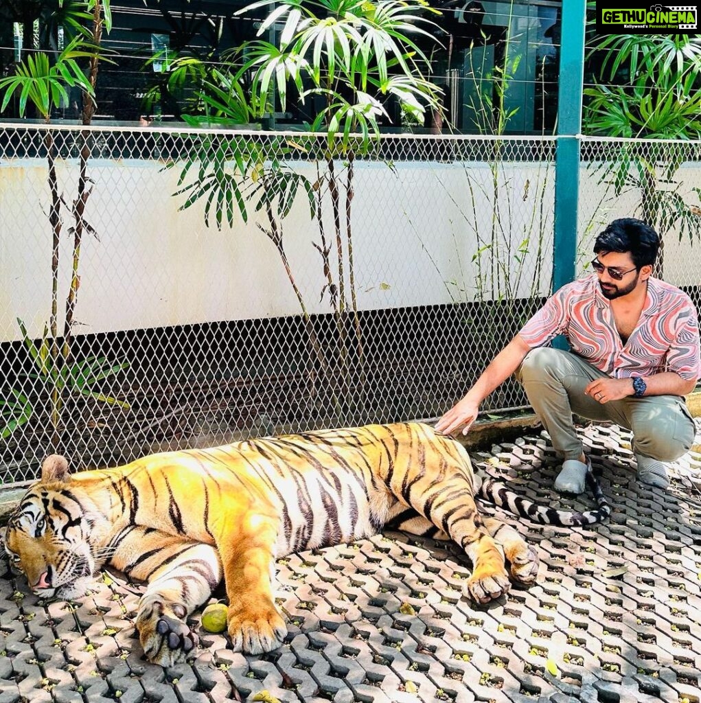 Malavika Krishnadas Instagram - 🐯💗 Tiger PARK Pattaya