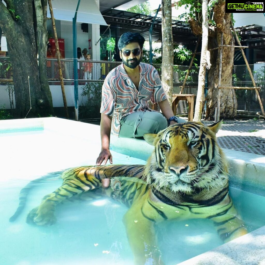 Malavika Krishnadas Instagram - 🐯💗 Tiger PARK Pattaya