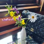 Malavika Mohanan Instagram - It was a beautiful first day of the year ☺️💕 Here are a few things that made yesterday beautiful- •Flowers the most beautiful shade of pink that are scattered everywhere around my cottage 🌺 •Pink evening sky which looks like someone filled it with candy floss all over •Watching a splendid sunset • I love mountain flowers. I always feel like the most beautiful flowers in our country are found in the Himalayas. Especially during spring time •Tha gorgeous Kumaon range •’Bhola’ the horse who was very camera shy and would turn away every time I tried to take a photo of him 🐴 •Accessorize even when it’s 0 degrees outside 🥶 •Hot cup of coffee for the win no matter what the weather is or no matter which city I’m in 🤤 😬 Binsar, Uttarakhand, India