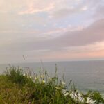 Malavika Mohanan Instagram - When I got a day off after 30 days of continuous shoot and also saw my parents after 30 days of being away from home 👨‍👩‍👧 We went to a cliffside at Varkala, had a mini picnic, saw the beautiful sea and a gorgeous sunset and came back home 🥰 (hotel is home at the moment 🤷🏻‍♀️ ) Oh, and also twinned with senior Mohanan 🐰🐰 @adityamohanan you were missed. Only a little though 💩