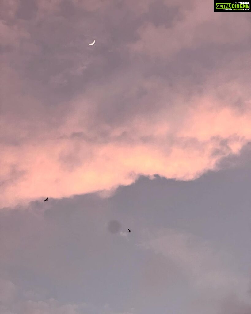 Malavika Mohanan Instagram - When I got a day off after 30 days of continuous shoot and also saw my parents after 30 days of being away from home 👨‍👩‍👧 We went to a cliffside at Varkala, had a mini picnic, saw the beautiful sea and a gorgeous sunset and came back home 🥰 (hotel is home at the moment 🤷🏻‍♀️ ) Oh, and also twinned with senior Mohanan 🐰🐰 @adityamohanan you were missed. Only a little though 💩