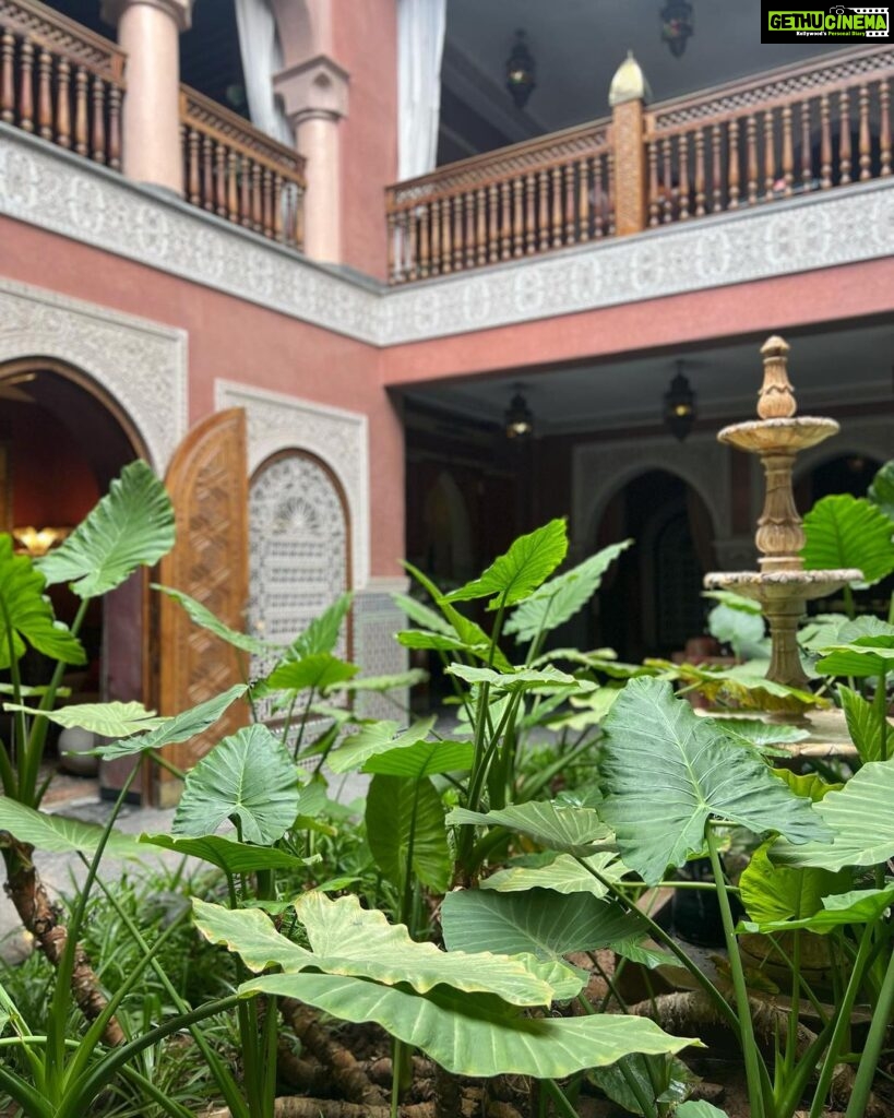 Malavika Mohanan Instagram - Isn’t this place absolutely gorgeous? Every corner is so intricately crafted. Pure art ♥️ In the most lovely & one of a kind Uzbek trench custom made by @labelsouravdas ♥️ La Sultana Marrakech