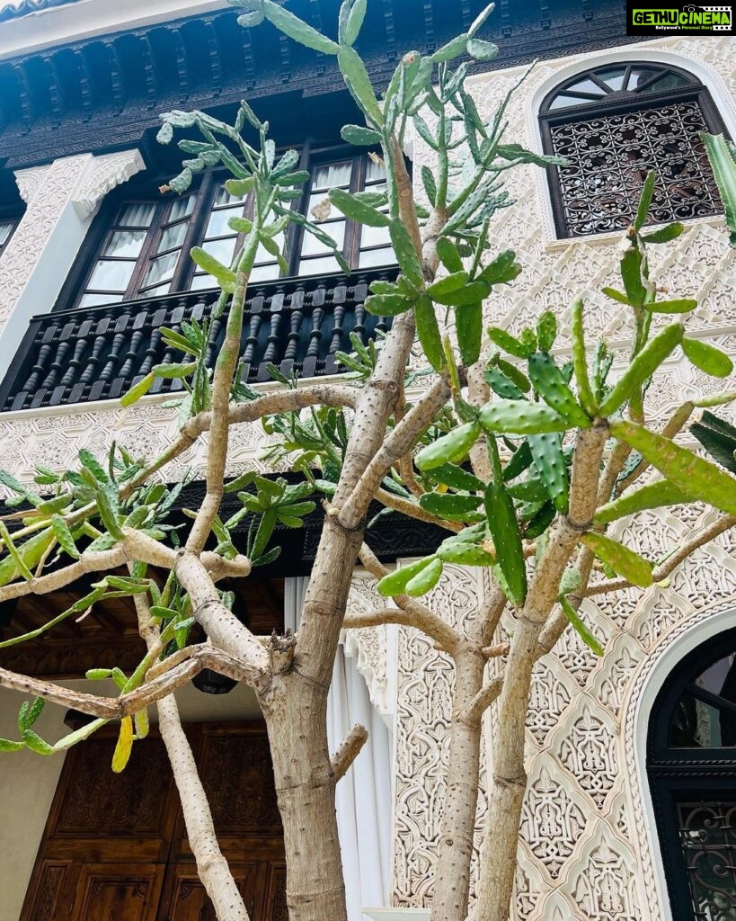 Malavika Mohanan Instagram - Felt like my Indian accessories fit right into the lovely visual palette of Marrakech 💕 #MarrakchiLife #SoMuchCactiEverywhere 🌵 Marrakesh, Morocco