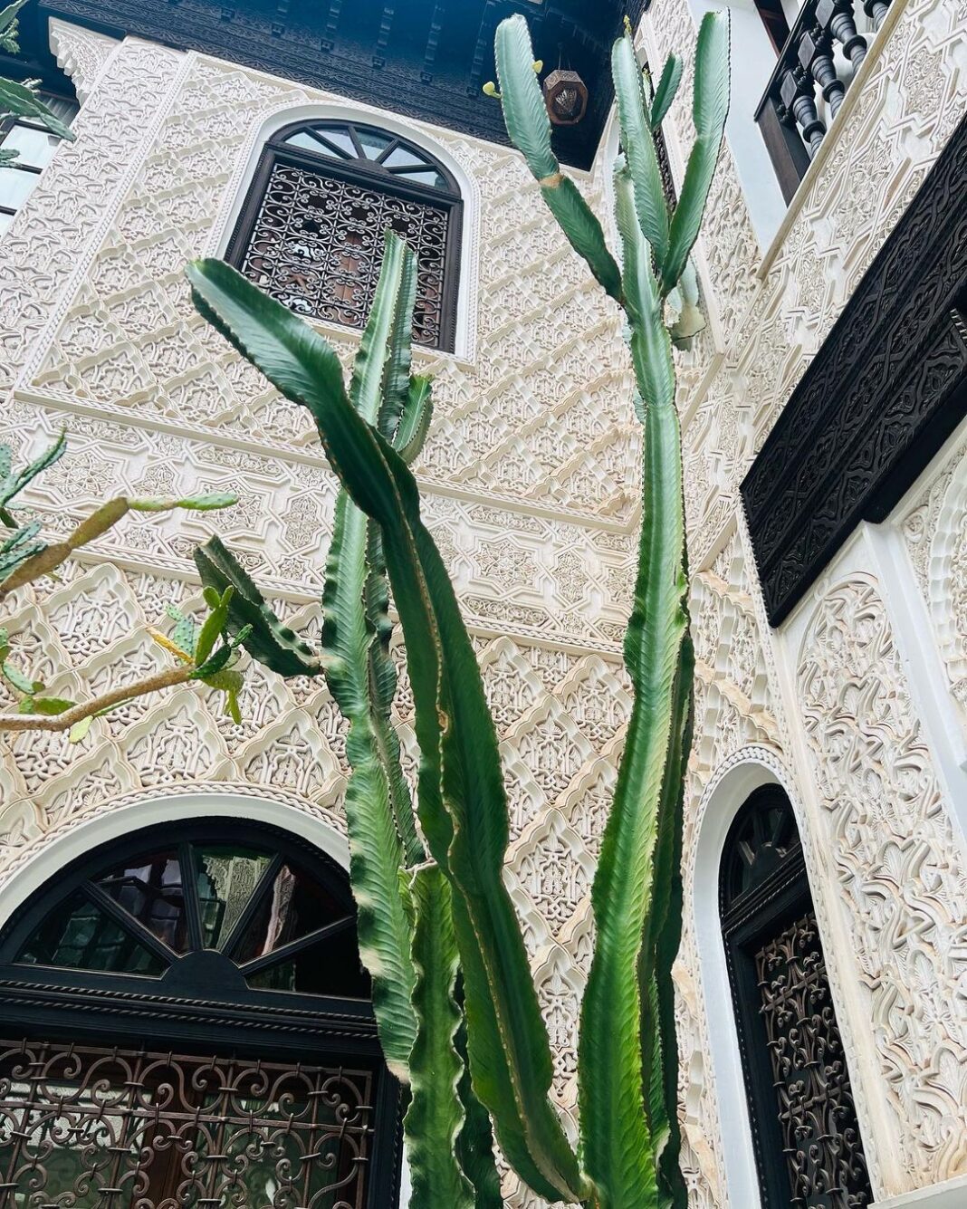 Malavika Mohanan Instagram - Felt like my Indian accessories fit right into the lovely visual palette of Marrakech 💕 #MarrakchiLife #SoMuchCactiEverywhere 🌵 Marrakesh, Morocco
