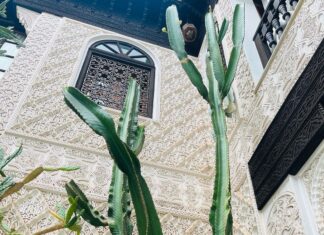 Malavika Mohanan Instagram - Felt like my Indian accessories fit right into the lovely visual palette of Marrakech 💕 #MarrakchiLife #SoMuchCactiEverywhere 🌵 Marrakesh, Morocco
