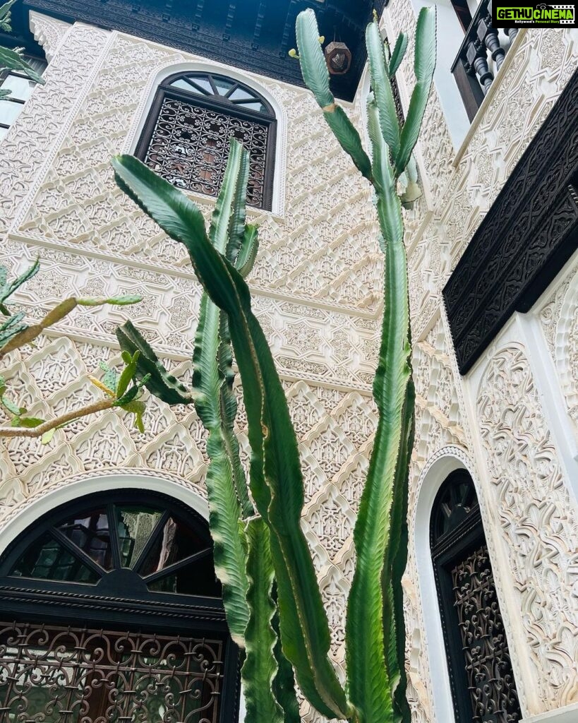 Malavika Mohanan Instagram - Felt like my Indian accessories fit right into the lovely visual palette of Marrakech 💕 #MarrakchiLife #SoMuchCactiEverywhere 🌵 Marrakesh, Morocco