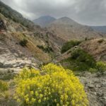 Malavika Mohanan Instagram - Highlights of yesterday- •A lovely hike at the foothills of the highest peak in North Africa 🏔 •Stopping for lunch at this stunningly scenic mountain retreat ‘Kasbah du Toubkal’ which is popularly regarded as one of the most beautiful retreats in the world 🍛 •So many pretty wild roses everywhere 🌹 •Picking fresh(and the sweetest) cherries from a cherry farm on our way down the hill and nomnom-ing to my heart’s content 🍒 It was a good day ♥️