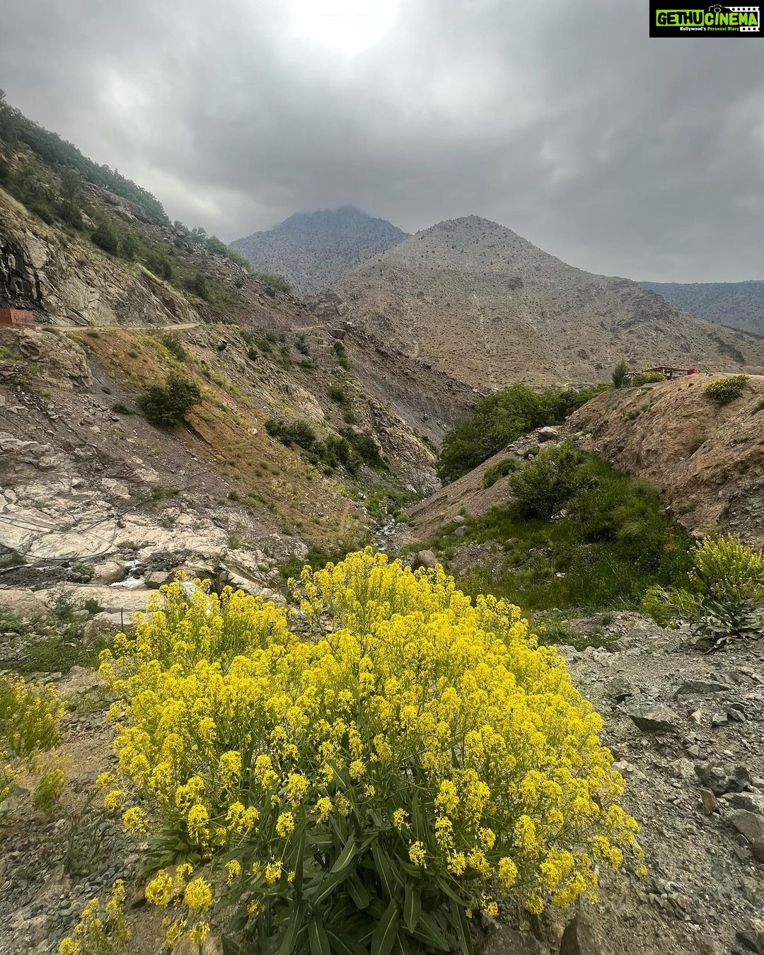 Malavika Mohanan Instagram - Highlights of yesterday- •A lovely hike at the foothills of the highest peak in North Africa 🏔 •Stopping for lunch at this stunningly scenic mountain retreat ‘Kasbah du Toubkal’ which is popularly regarded as one of the most beautiful retreats in the world 🍛 •So many pretty wild roses everywhere 🌹 •Picking fresh(and the sweetest) cherries from a cherry farm on our way down the hill and nomnom-ing to my heart’s content 🍒 It was a good day ♥️