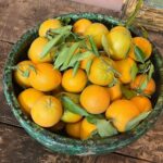 Malavika Mohanan Instagram - 🍊 Atlas Mountains, Morroco