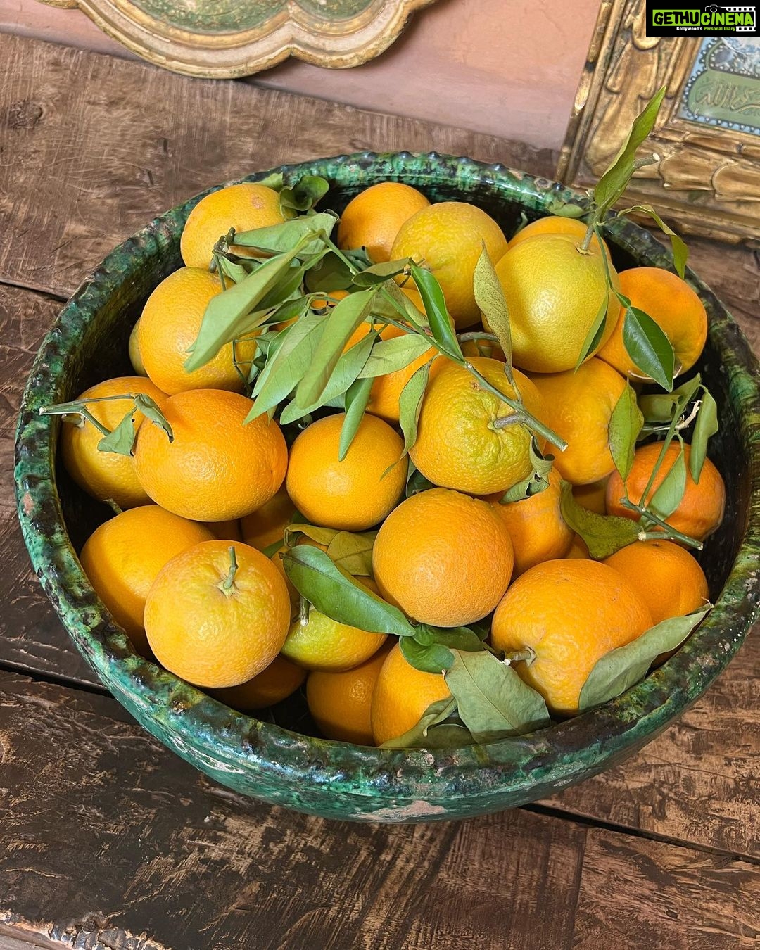 Malavika Mohanan Instagram - 🍊 Atlas Mountains, Morroco