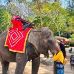 Malti Chahar Instagram - The more I meet them,the more I fall in love with them🐘❤️ #cutest #elephant #love Thailand
