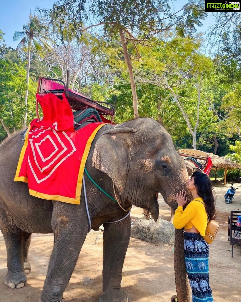 Malti Chahar Instagram - The more I meet them,the more I fall in love with them🐘❤️ #cutest #elephant #love Thailand