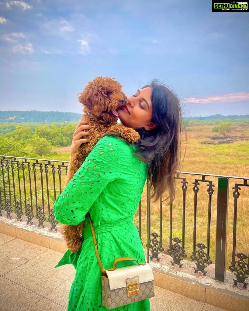 Malti Chahar Instagram - Meet the newest and the youngest family member- Milan Chahar. Also the cutest 🥹❤️ #poodle #love #brown #dog Goa City, India