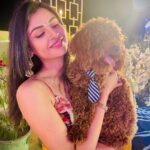 Malti Chahar Instagram - That cute tie 🫠❤️ #love #poodle #wedding #ready