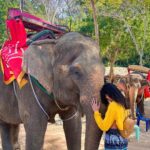 Malti Chahar Instagram – The more I meet them,the more I fall in love with them🐘❤️
#cutest #elephant #love Thailand
