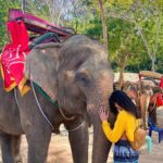Malti Chahar Instagram - The more I meet them,the more I fall in love with them🐘❤️ #cutest #elephant #love Thailand