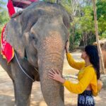Malti Chahar Instagram - The more I meet them,the more I fall in love with them🐘❤️ #cutest #elephant #love Thailand