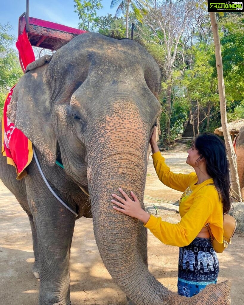 Malti Chahar Instagram - The more I meet them,the more I fall in love with them🐘❤ #cutest #elephant #love Thailand