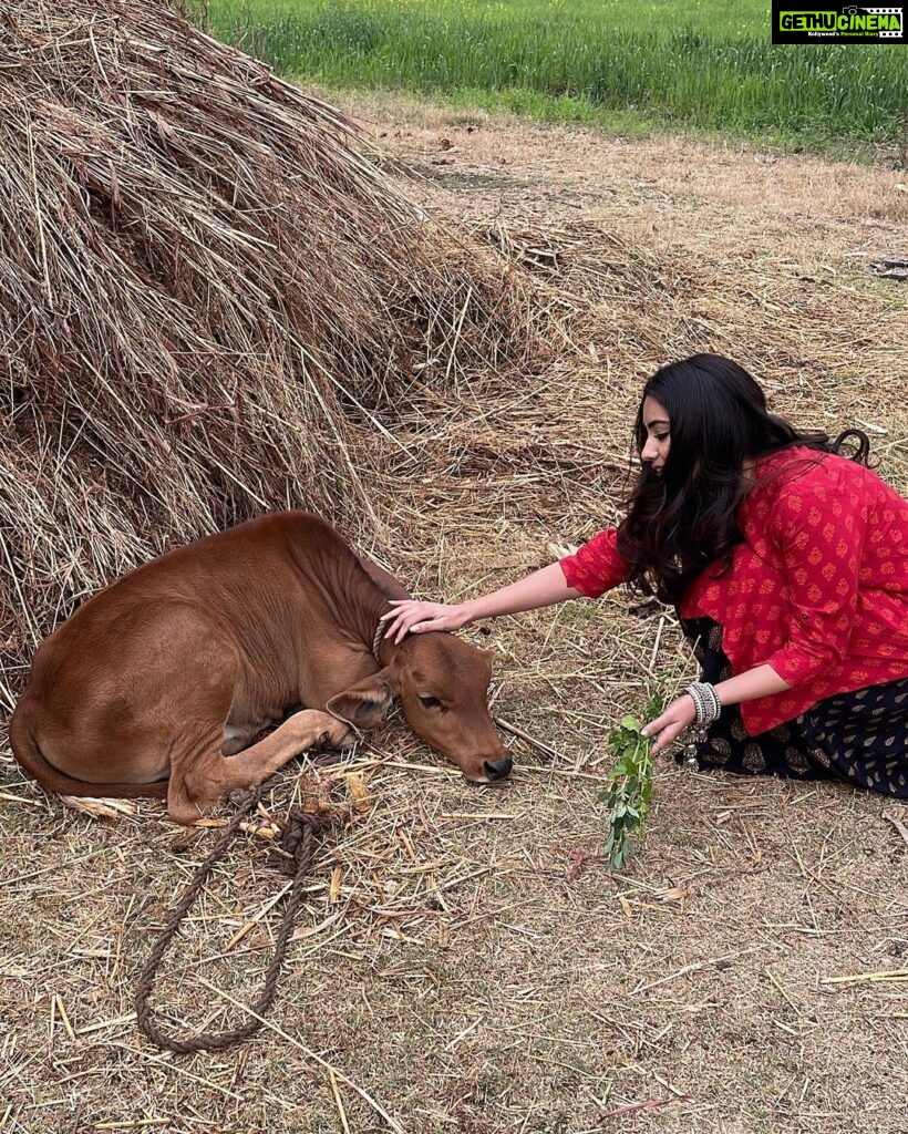 Malvika Sharma Instagram - 😍❤ @devraudaipur Devra Udaipur