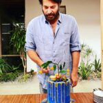 Mammootty Instagram - Wish I could share the cake with all of you as well !! 🎂🍰🍰