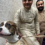 Manasi Parekh Instagram - Amruta and Rushabh’s wedding in Brooklyn has been the perfect new age yet traditional wedding I have ever witnessed. So much love and joy all around ♥️♥️♥️Snapshots from the last couple of days in New York New York, New York