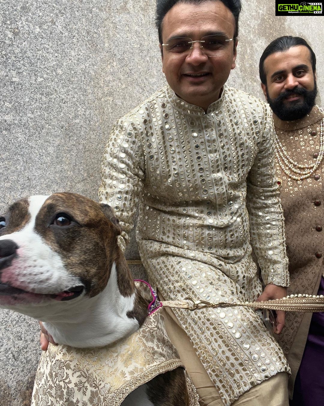 Manasi Parekh Instagram - Amruta and Rushabh’s wedding in Brooklyn has been the perfect new age yet traditional wedding I have ever witnessed. So much love and joy all around ♥️♥️♥️Snapshots from the last couple of days in New York New York, New York