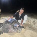 Mandana Karimi Instagram - Meeting this Mama 🐢 was a humbling experience. Mother Nature never ceases to amaze me! These majestic turtles swim for miles to return to the very place they were born, just to lay their precious eggs. The odds of survival for these eggs are a mere 1%! Can you imagine? Out of hundreds of eggs, only a handful manage to survive. Yet, year after year, they embark on this incredible journey with unwavering patience and care. Trinidad, you have gifted me with a lifetime experience that fills my heart with deep gratitude. Thank you, from the depths of my soul. #MotherNature #TurtleLove #GratefulHeart City Of Port-Of-Spain, Port-Of-Spain, Trinidad And Tobago