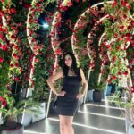 Maryam Zakaria Instagram - Hello Dubai 😍 . . #travelreels #traveldiaries #dubai #reelsinstagram Dubai, United Arab Emirates