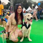 Maryam Zakaria Instagram - Happy National Golden Retriever day ❤️ @rockycutiegolden #happynationalgoldenretrieverday #goldenretriever #doglover #nationalgoldenretrieverday #goldenretrieverlovers #goldenretriverlife