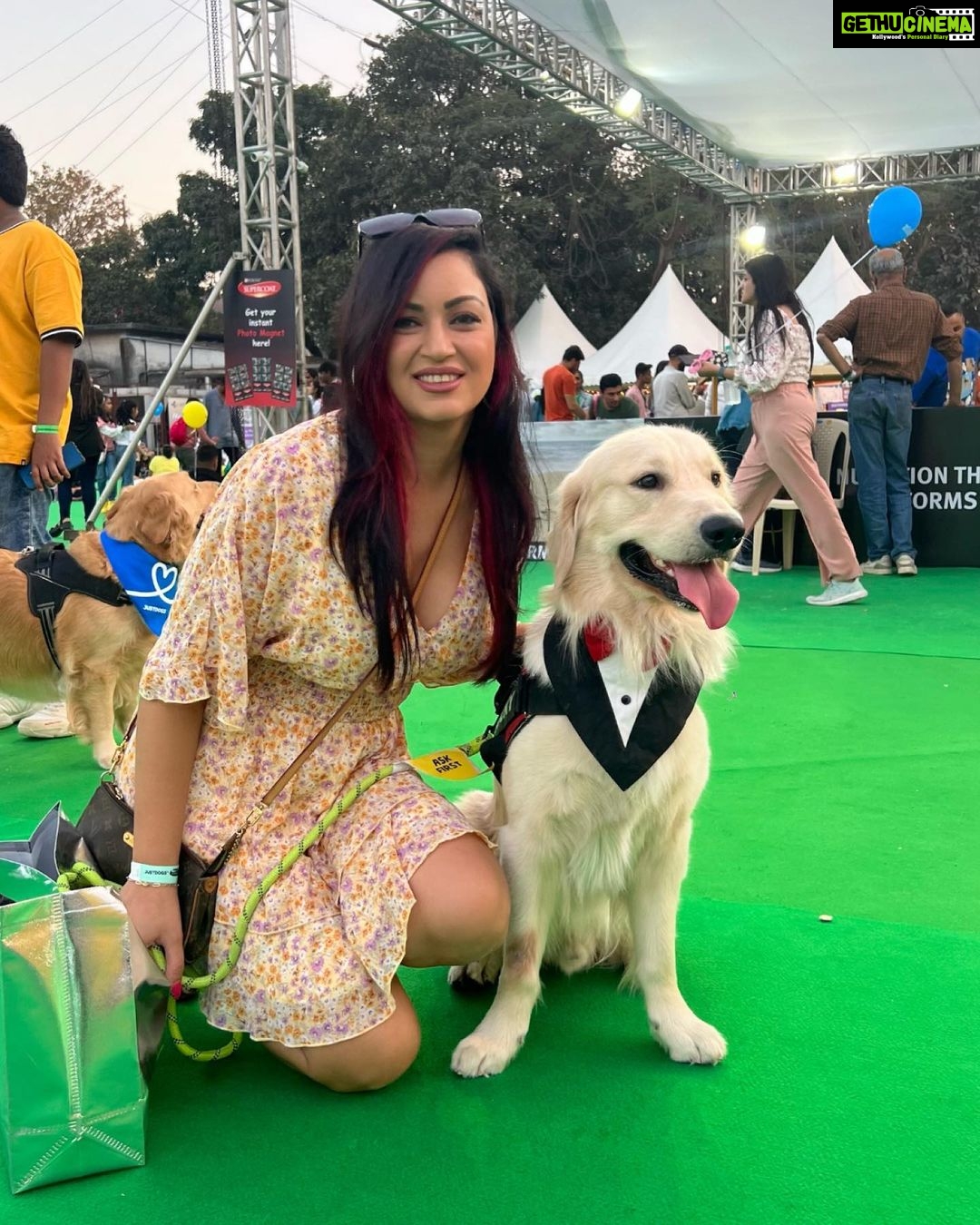 Maryam Zakaria Instagram - Happy National Golden Retriever day ❤️ @rockycutiegolden #happynationalgoldenretrieverday #goldenretriever #doglover #nationalgoldenretrieverday #goldenretrieverlovers #goldenretriverlife