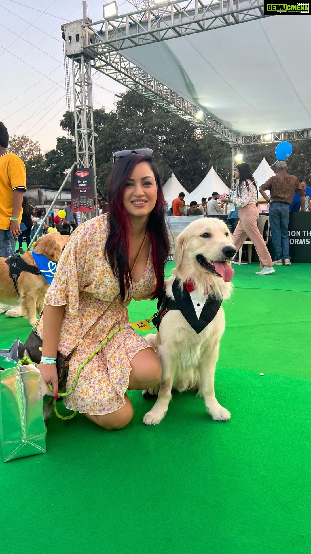Maryam Zakaria Instagram - What a fun and cute event @rockycutiegolden enjoyed so much ❤️ . . #petfed2023 #petfed #justdogs #doglover #goldenretriever #dogsofinstagram #dogreels #reelsinstagram