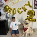 Maryam Zakaria Instagram - We love you so much @rockycutiegolden happy birthday 🥳🎂❤️❤️❤️🐾