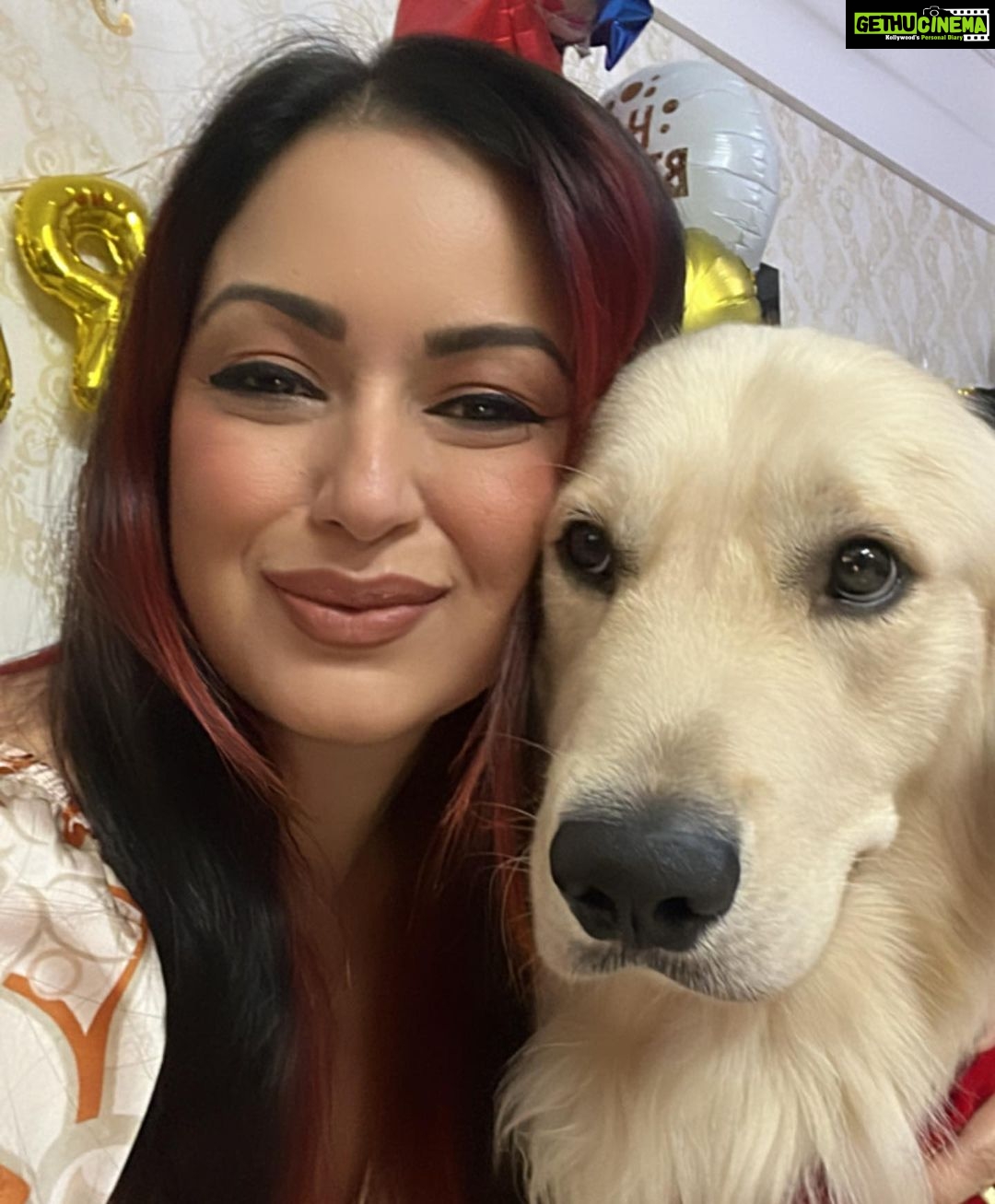 Maryam Zakaria Instagram - We love you so much @rockycutiegolden happy birthday 🥳🎂❤️❤️❤️🐾