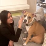 Maryam Zakaria Instagram - Meet my new friend Akira she is so cute 😍 Missing my Rocky so much 😩 . . #cutnessoverload #doglover #dog Stockholm, Sweden