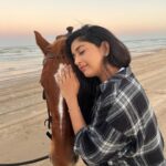 Meera Jasmine Instagram – The irresistible charm of resilience… strength and determination 🐎 

#JourneyInward #SelfMusings #OnwardsAndUpdwards #MJ #MeeraJasmine