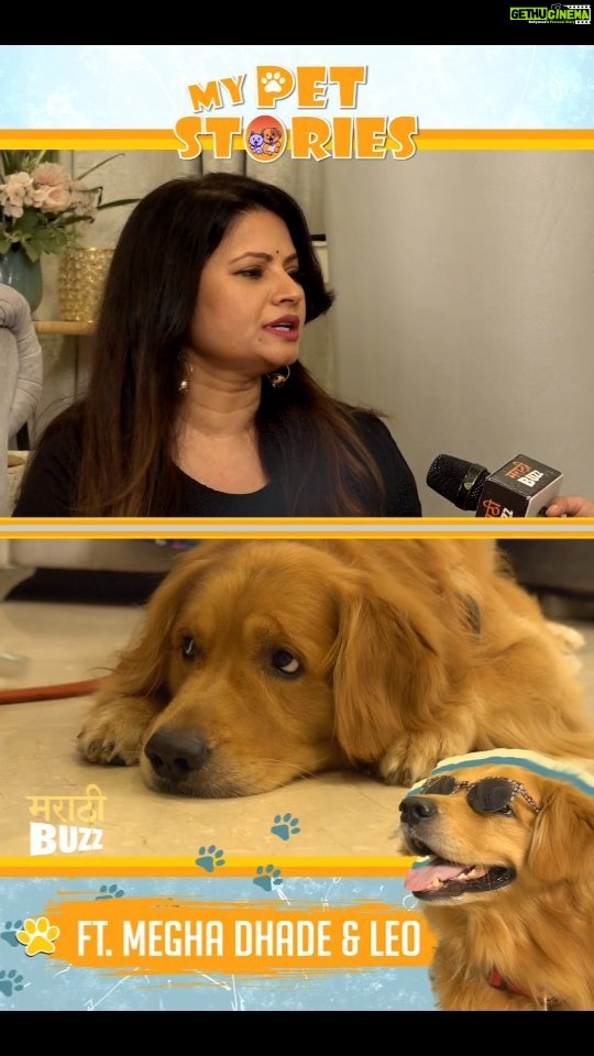 Megha Dhade Instagram - Pets विषयी @meghadhade ने दिला एक खास सल्ला. नक्की पाहा “My Pet Stories” फक्त अल्ट्रा मराठीबझच्या #youtubechannel वर. .. .. #meghadhade #celebspet #petslove #petslovers #newreels #petsagram #instagood #instareels #entertainment #exlusive #ultramarathibuzz