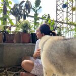 Mimi Chakraborty Instagram – Thats my 🌍 🐕 🪴

@chickoomax