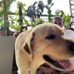 Mimi Chakraborty Instagram – Thats my 🌍 🐕 🪴

@chickoomax