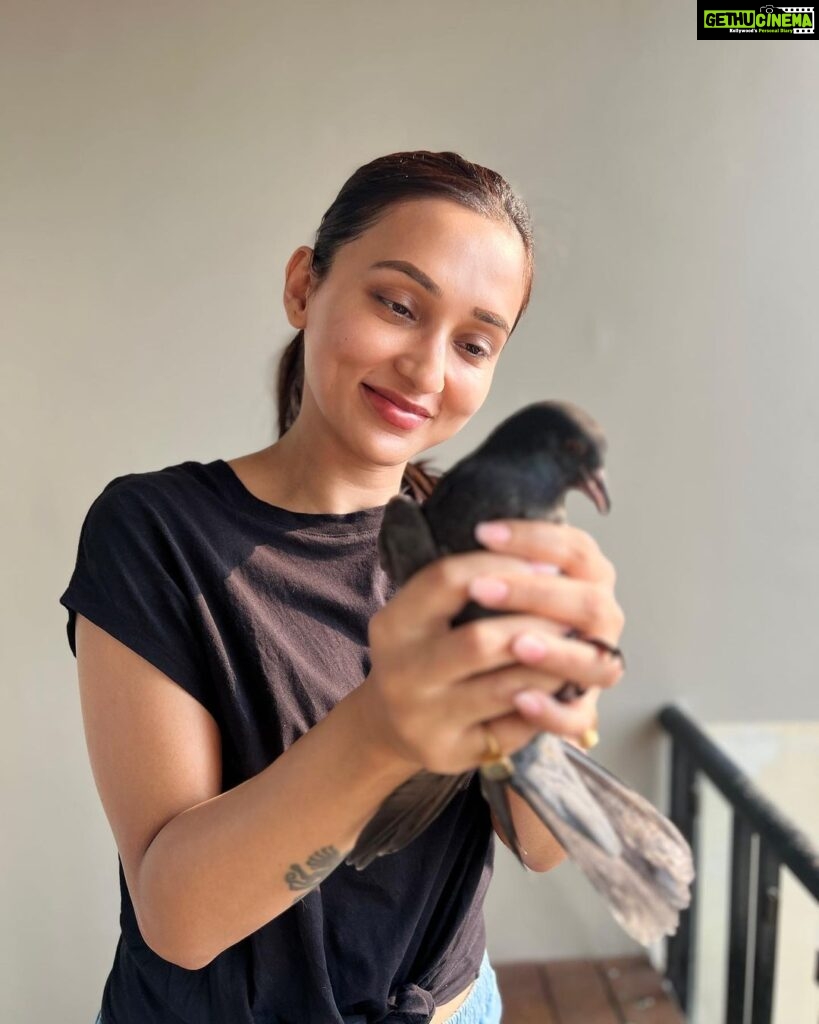 Mimi Chakraborty Instagram - My little Peace angels grew so big. Had saved her/his mom(not sure) during a storm since than they stay in our balcony. They are so familiar with my touch that nvr try to fly away from me.Although now i visit this place very less but whenever i do they welcome me with the same love nd warmth. FYI: (They are free birds not caged )